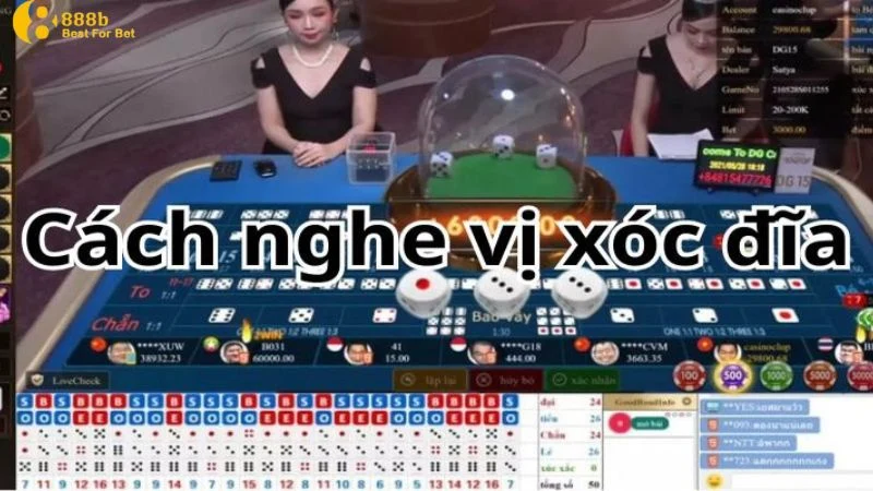 cách nghe vị xóc đĩa online Tổng hợp các cách nghe vị xóc đĩa online tăng cơ hội chiến thắng
